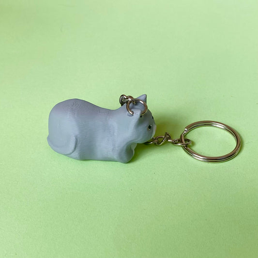 Custom Cat Accessories