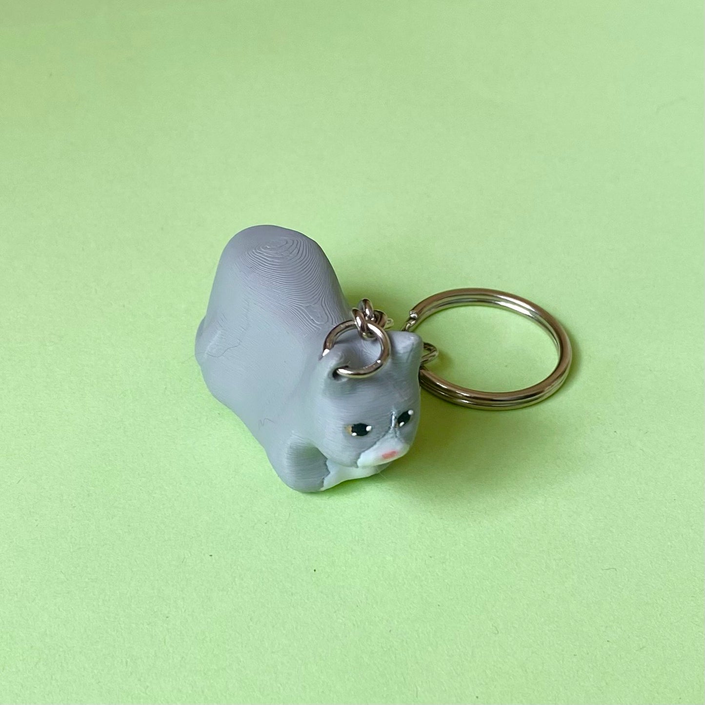Custom Cat Accessories