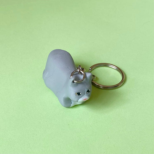Custom Cat Accessories
