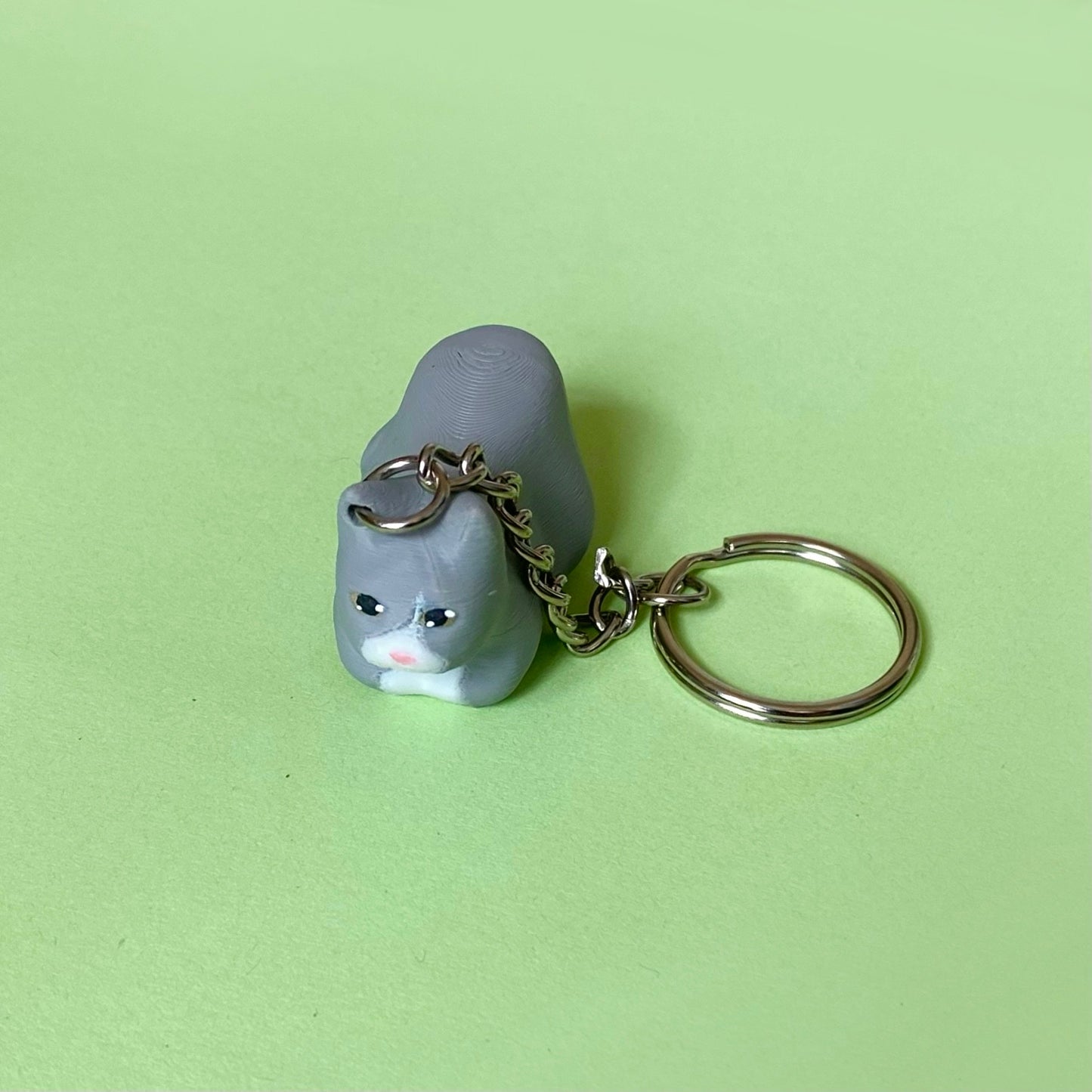 Custom Cat Accessories