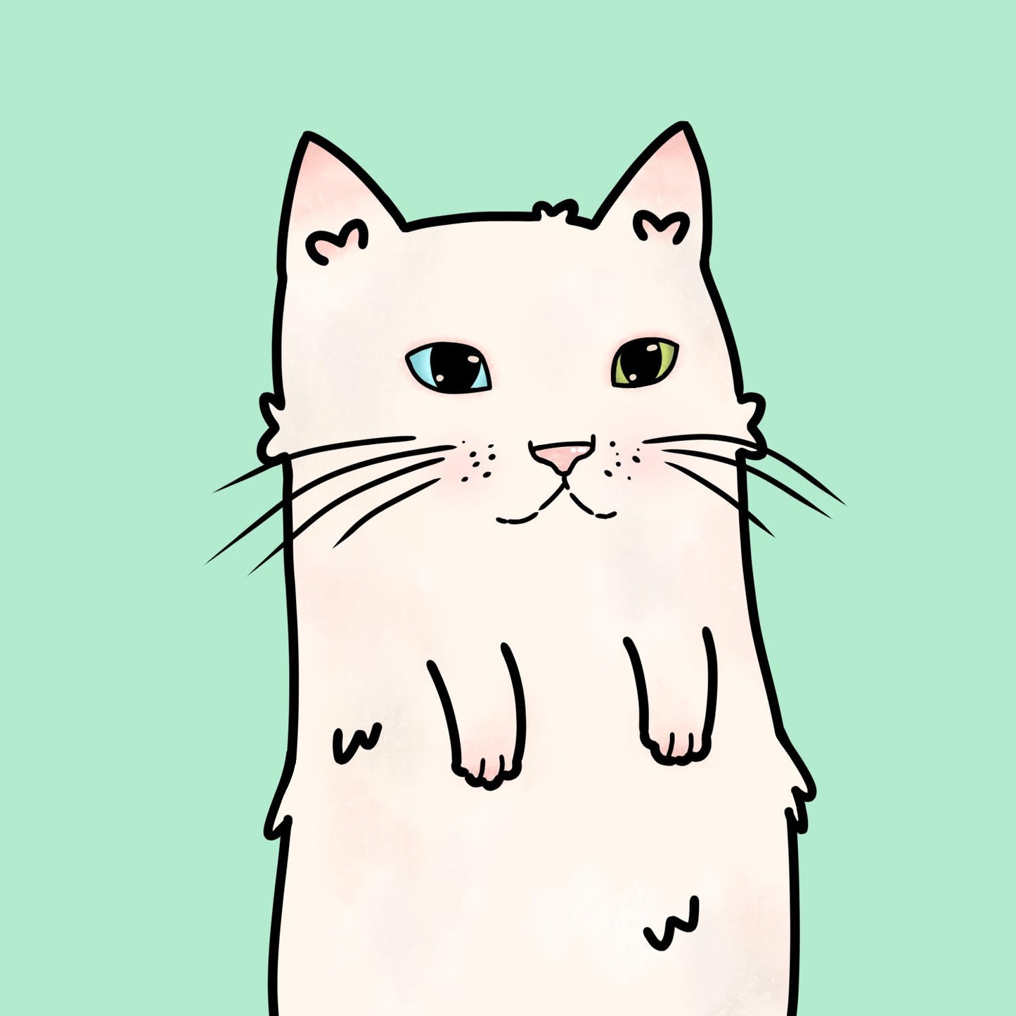 Custom Cat Accessories